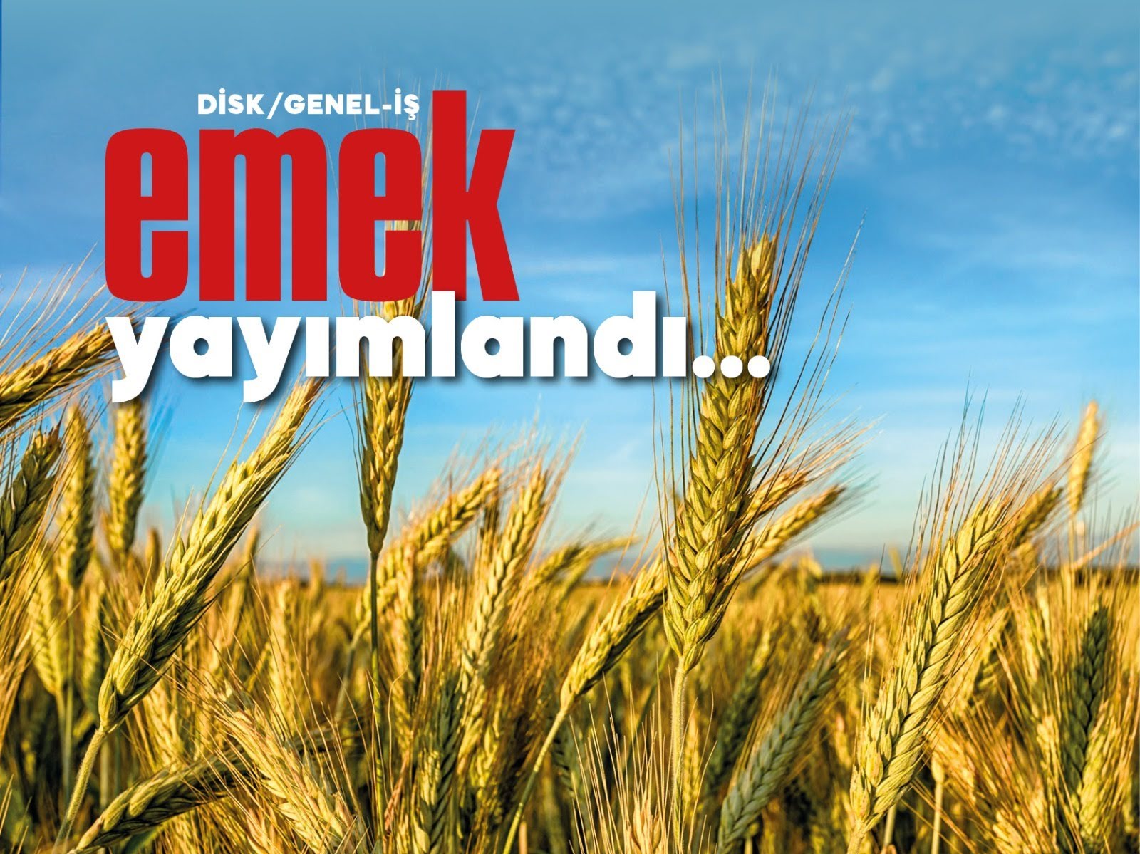 EMEK